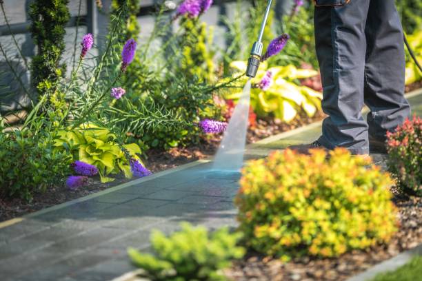 Best Spring Cleaning  in Rainbow Park, FL