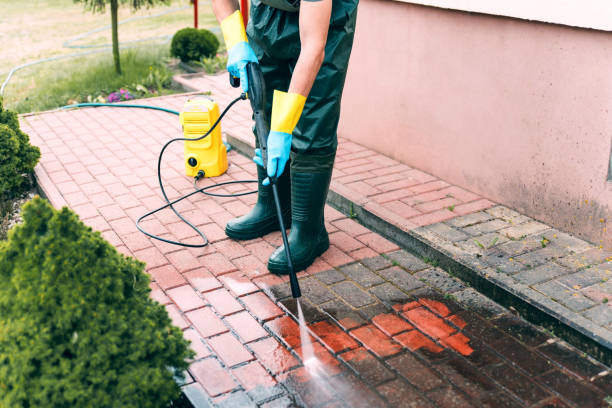 Professional Pressure Washing in Rainbow Park, FL